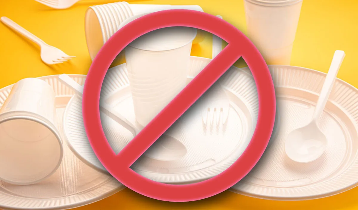 disposable tableware disposable tableware