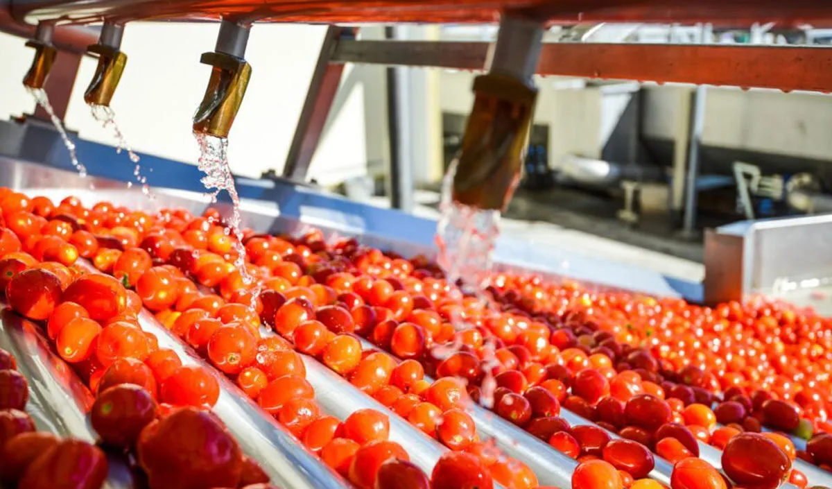 processing of agricultural raw materials processing of agricultural raw materials