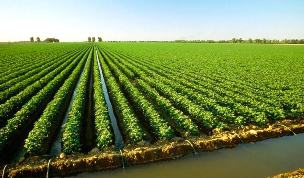 land improvement