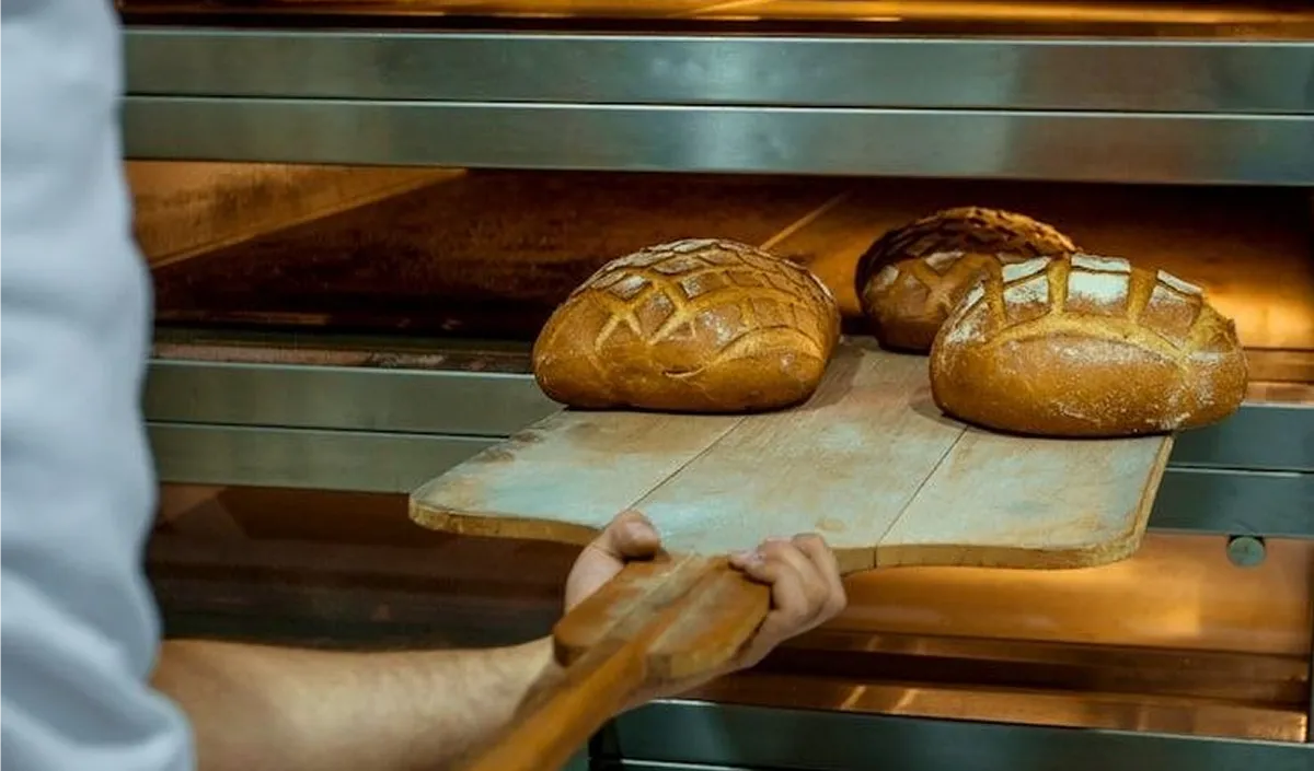 producătorii de alimente producătorii de alimente