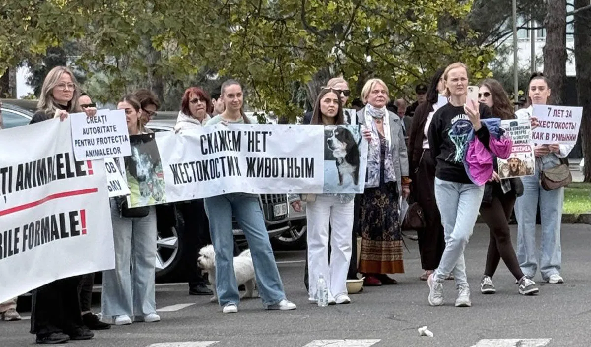 protest by animal rights activists