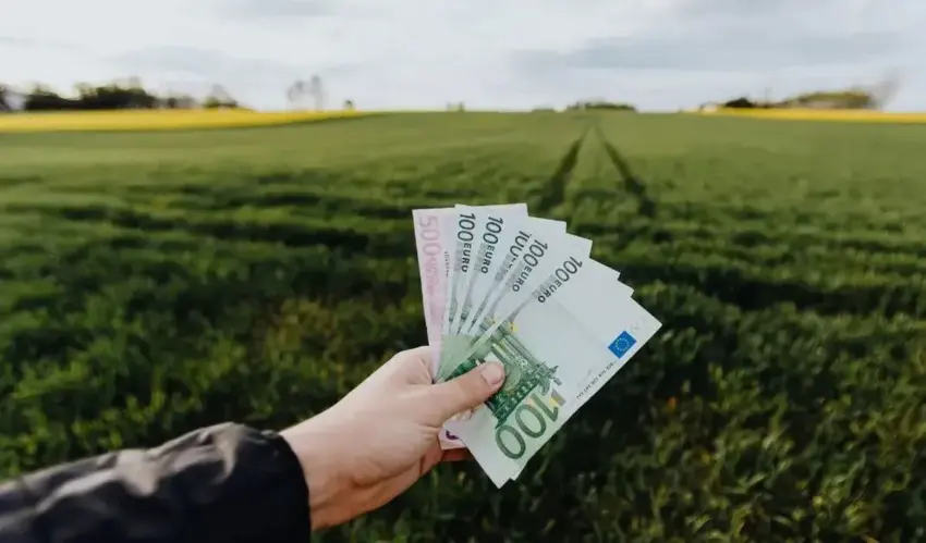 Subvenții ca „cadou” pentru fermieri – agenția AIPA a aprobat plata a 220 de milioane de lei subvenție