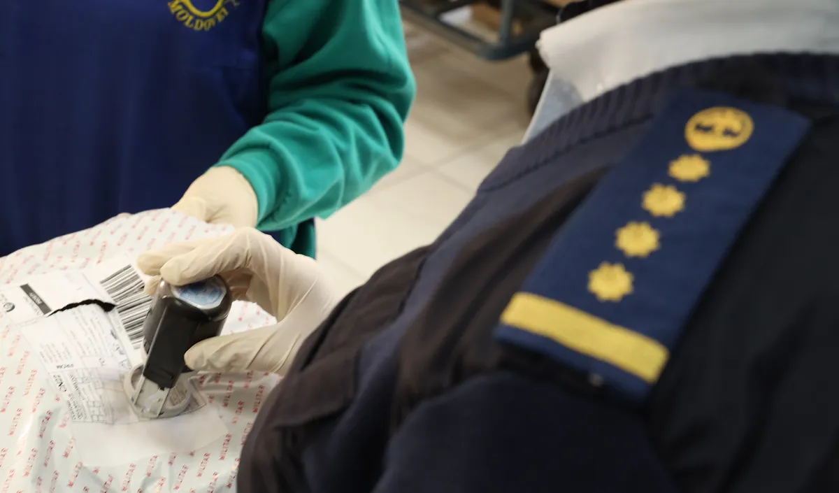 customs control of parcels customs control of parcels