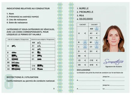 permisul de conducere
