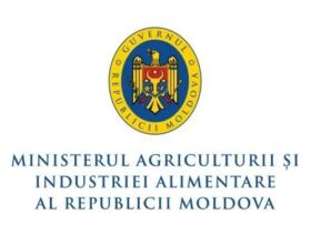 REQUEST FOR EXPRESSIONS OF INTEREST (CPIU-IFAD director)